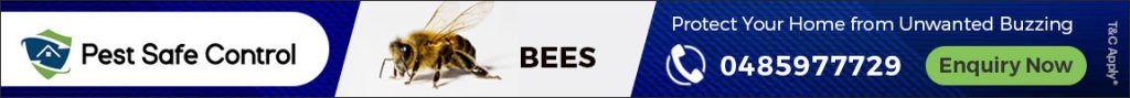 bee nest removal melbourne